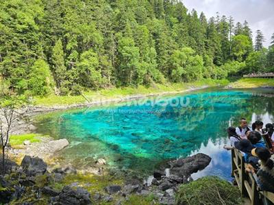 Travel Jiuzhaigou in August 