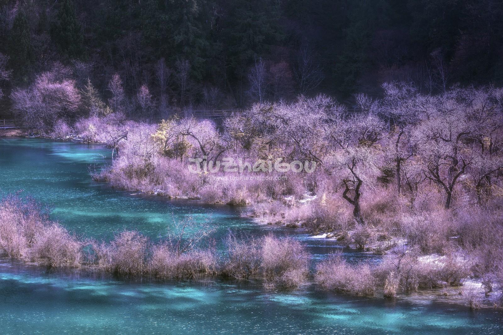 Visit Jiuzhaigou in December