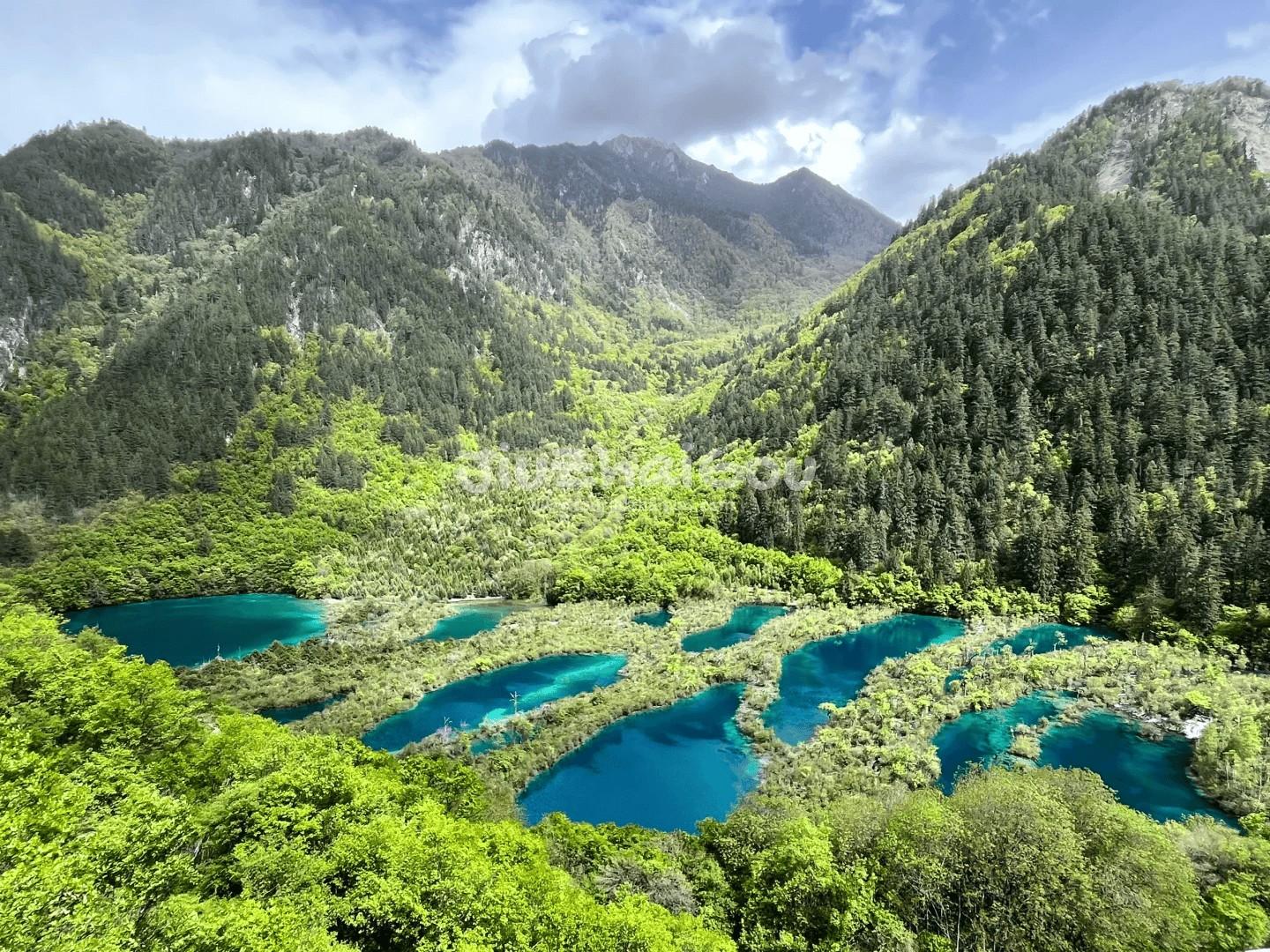 Jiuzhaigou May Travel