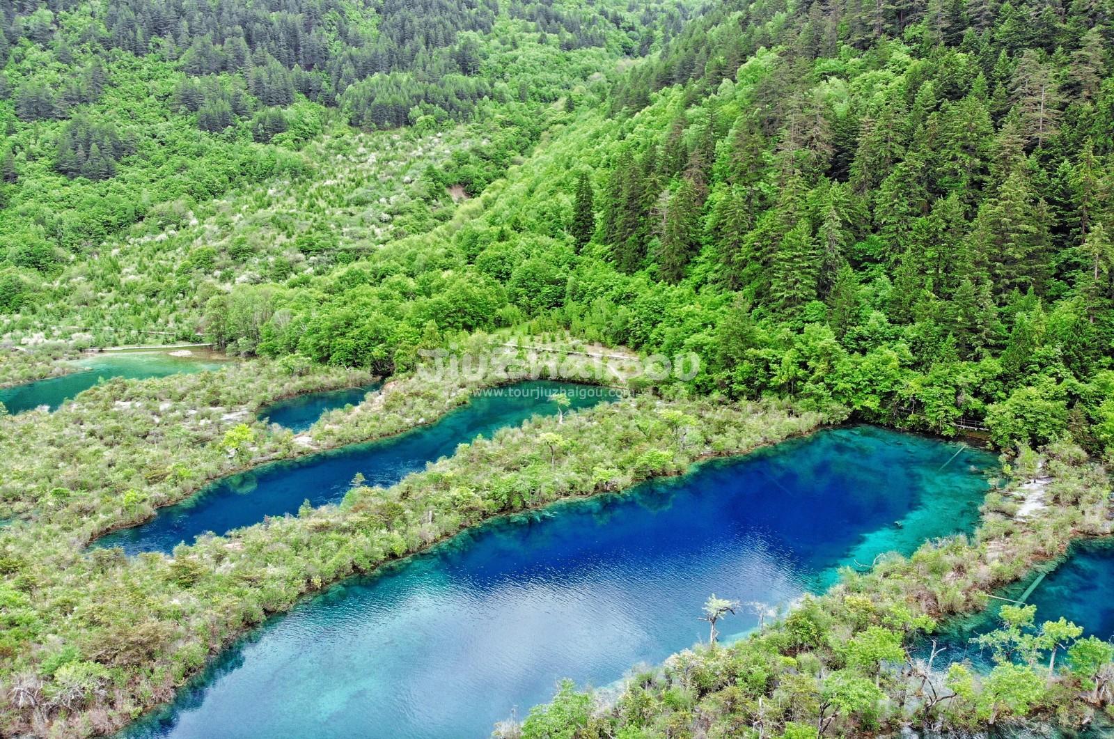 Jiuzhaigou May Trip