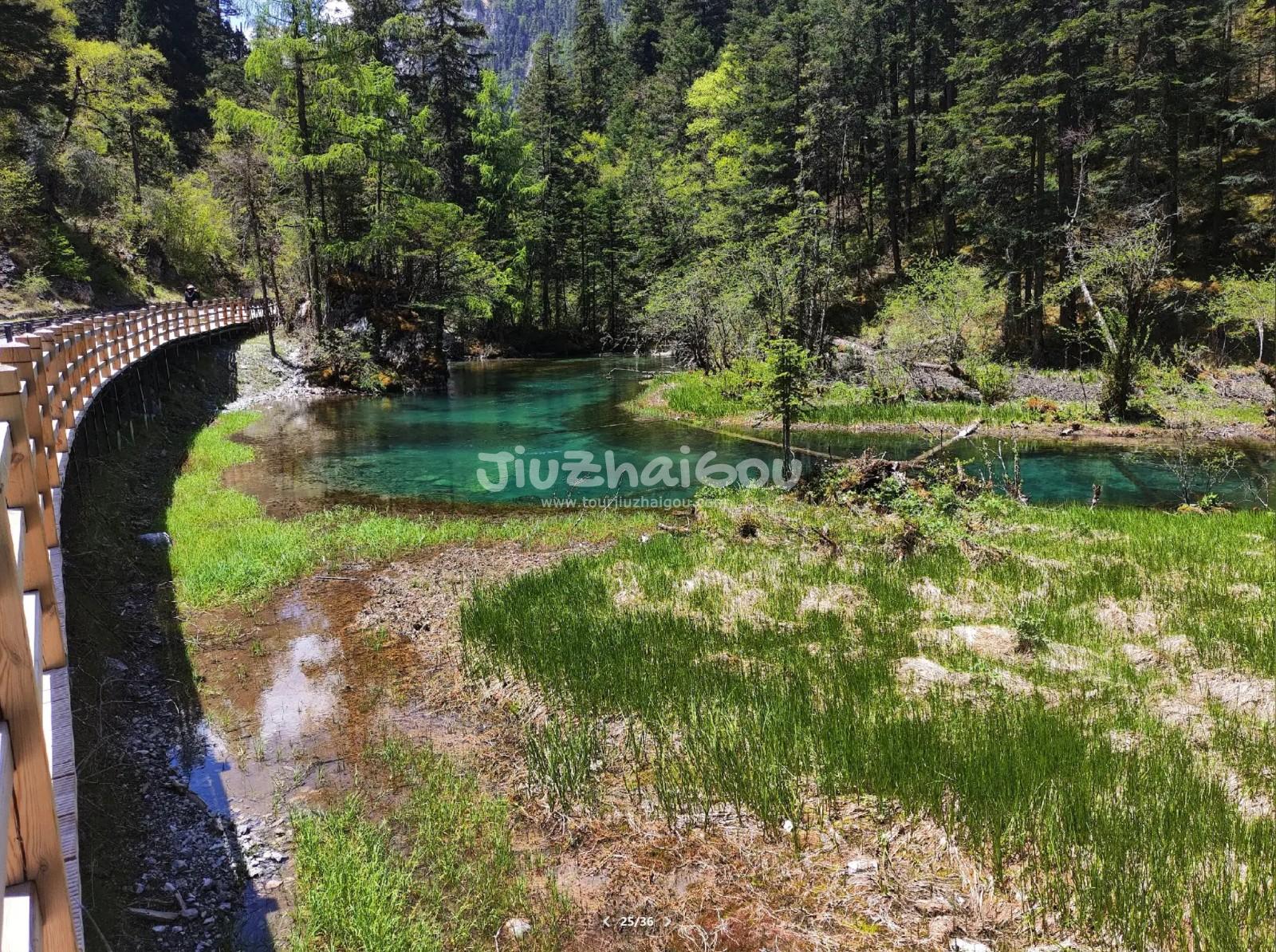 Jiuzhaigou May Tour