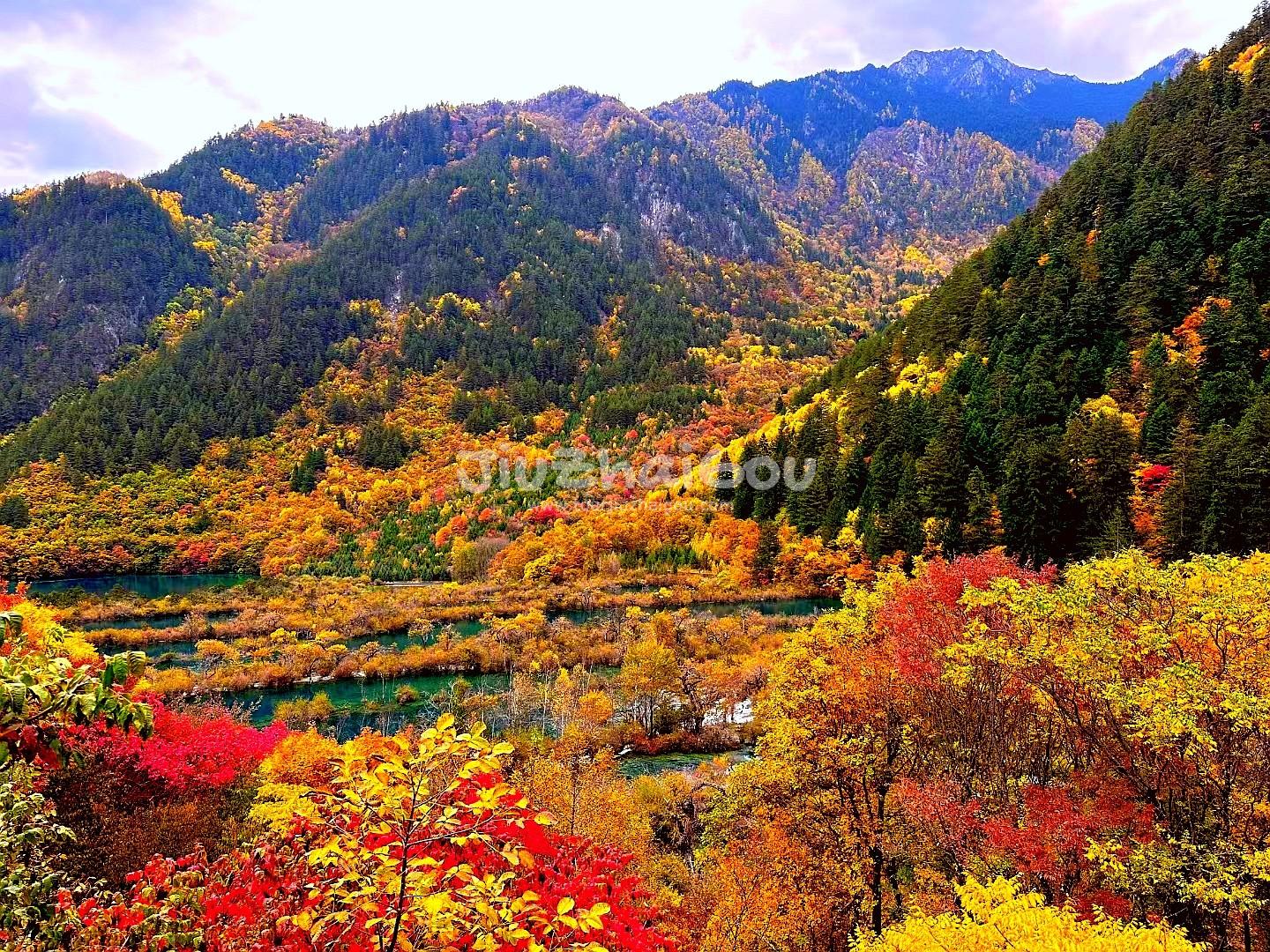 Jiuzhaigou November Tour