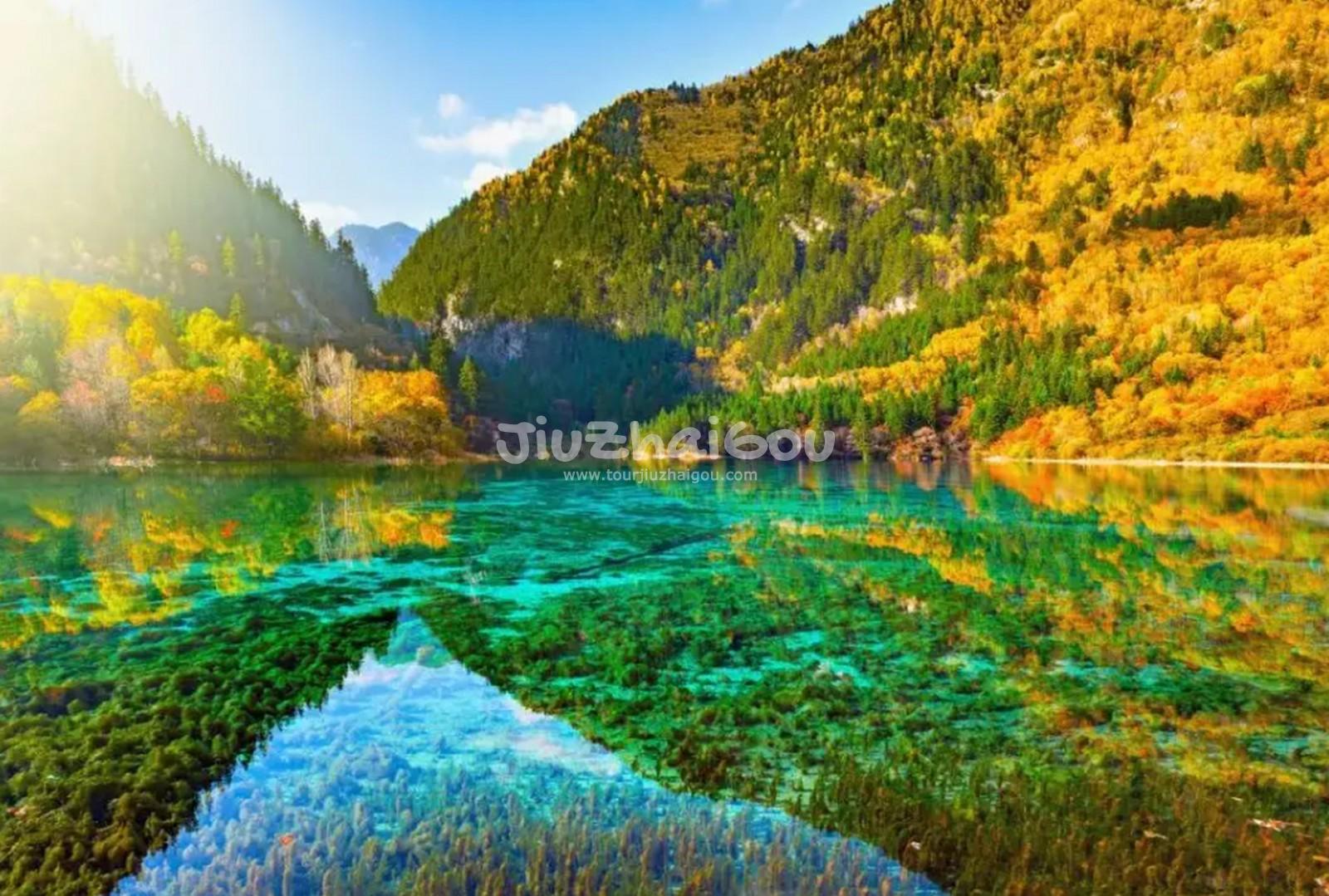 Jiuzhaigou Color Foliage