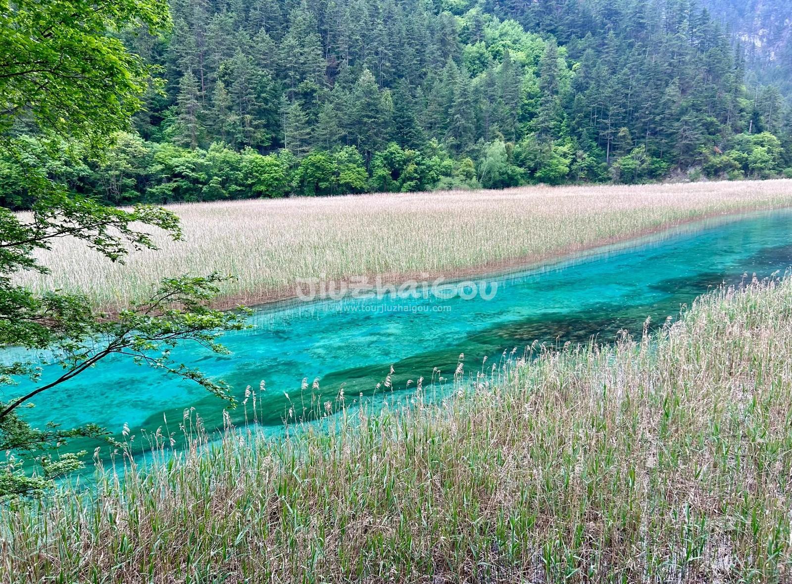 Jiuzhaigou in October