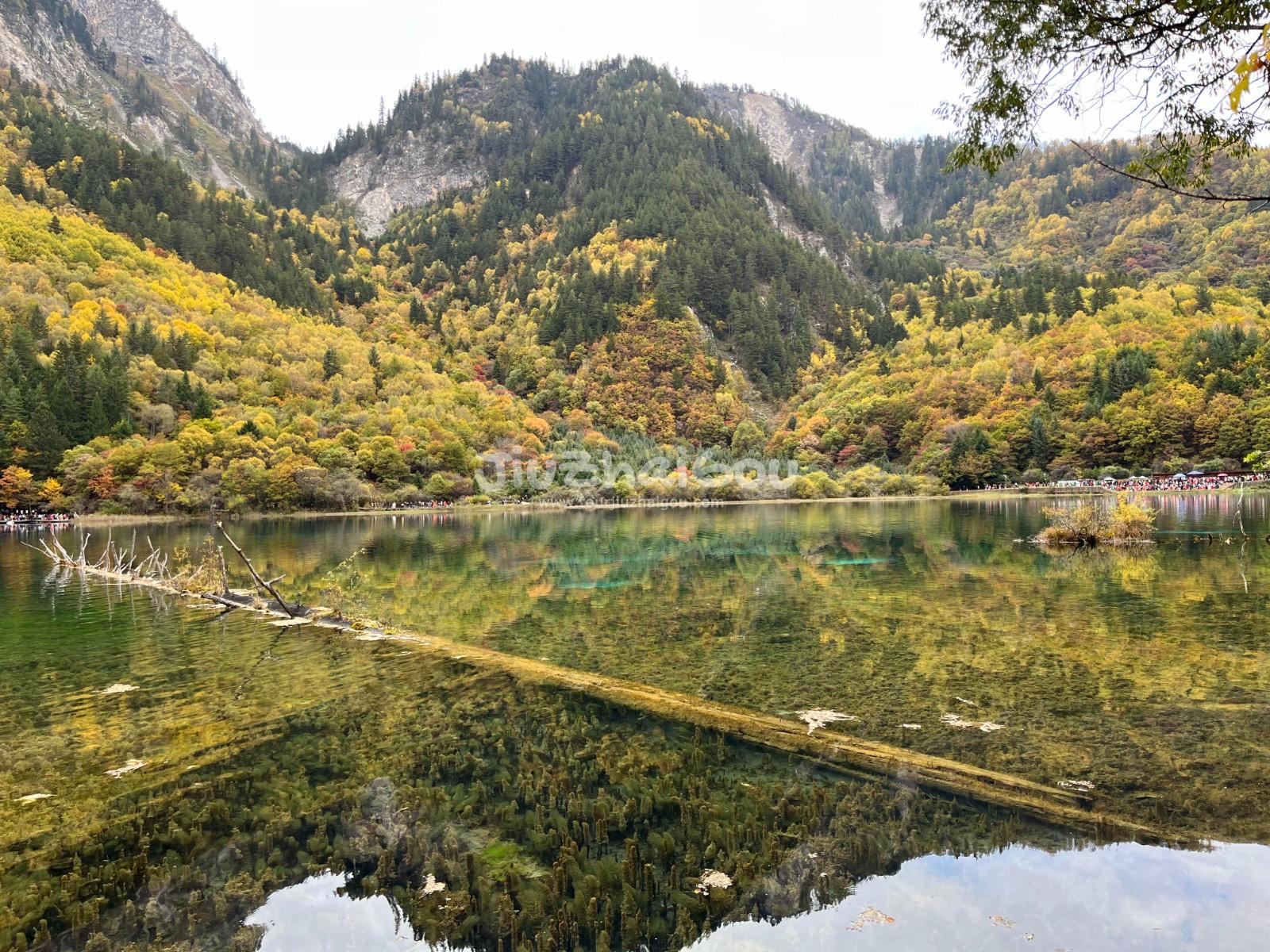 Travel Jiuzhaigou September