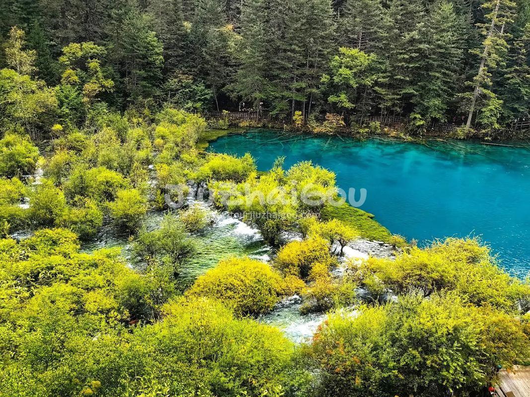 Travel Jiuzhaigou in September 