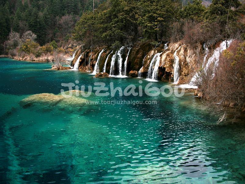 Jiuzhaigou Spring Scenery 