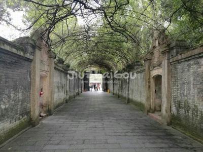 Sichuan Anren Town 