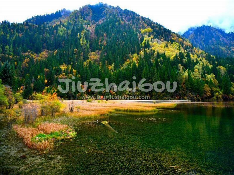 Autumn in Jiuzhaigou