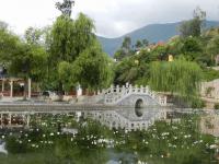 Black Dragon Pool Park