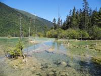 Fairy Pool Jiuzhaigou China