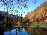 Magic Frog Lake 