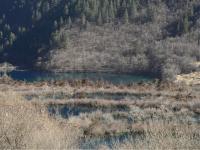 January Jiuzhaigou 