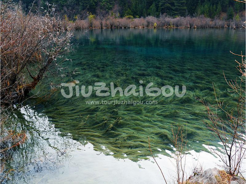 Jiuzhaigou in March