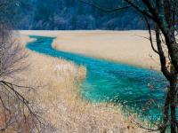 Reed Lake Jiuzhaigou
