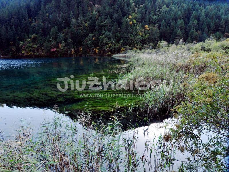 Jiuzhaigou Water