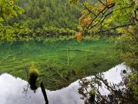 Mirror Lake