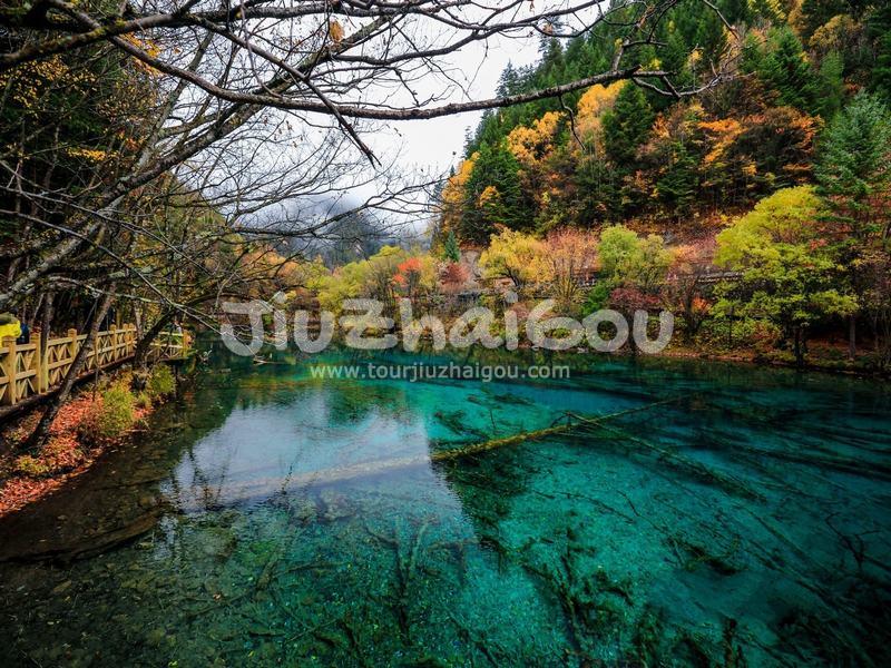 Peacock River Jiuzhaigou