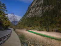 Reed Lake Jiuzhaigou China 