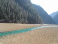 Reed Lake in Jiuzhaigou 