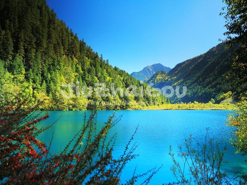 Shuzheng Gully