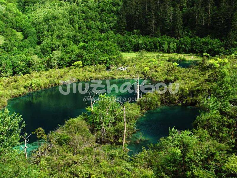 Shuzheng Lakes in Jiuzhaigou
