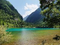 Summer in Jiuzhaigou