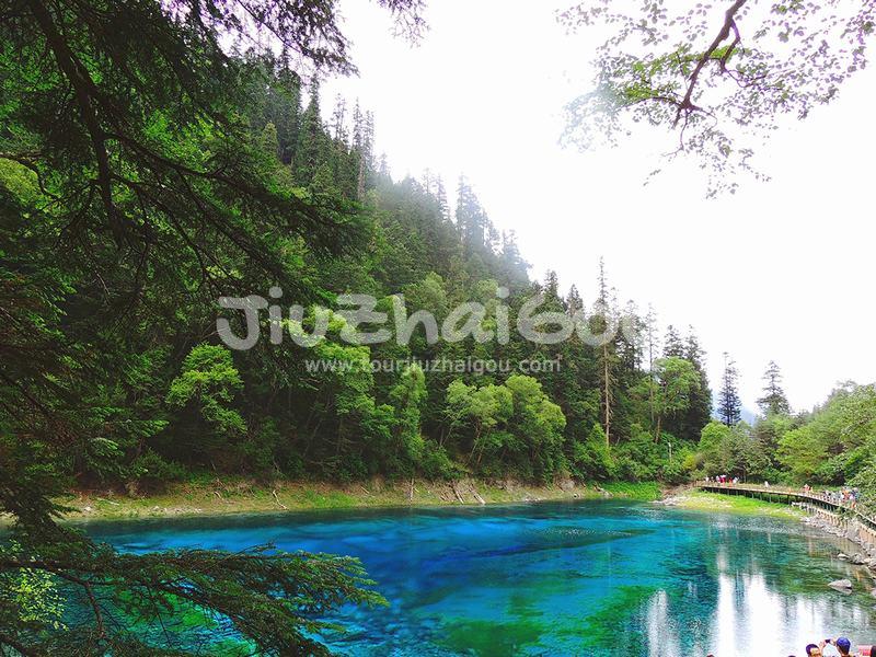 Summer in Jiuzhaigou