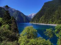 Summer in Jiuzhaigou