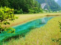 Summer in Jiuzhaigou