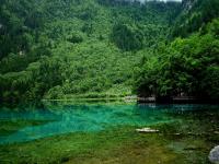Summer in Jiuzhaigou