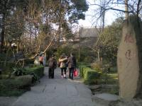 Peach Garden